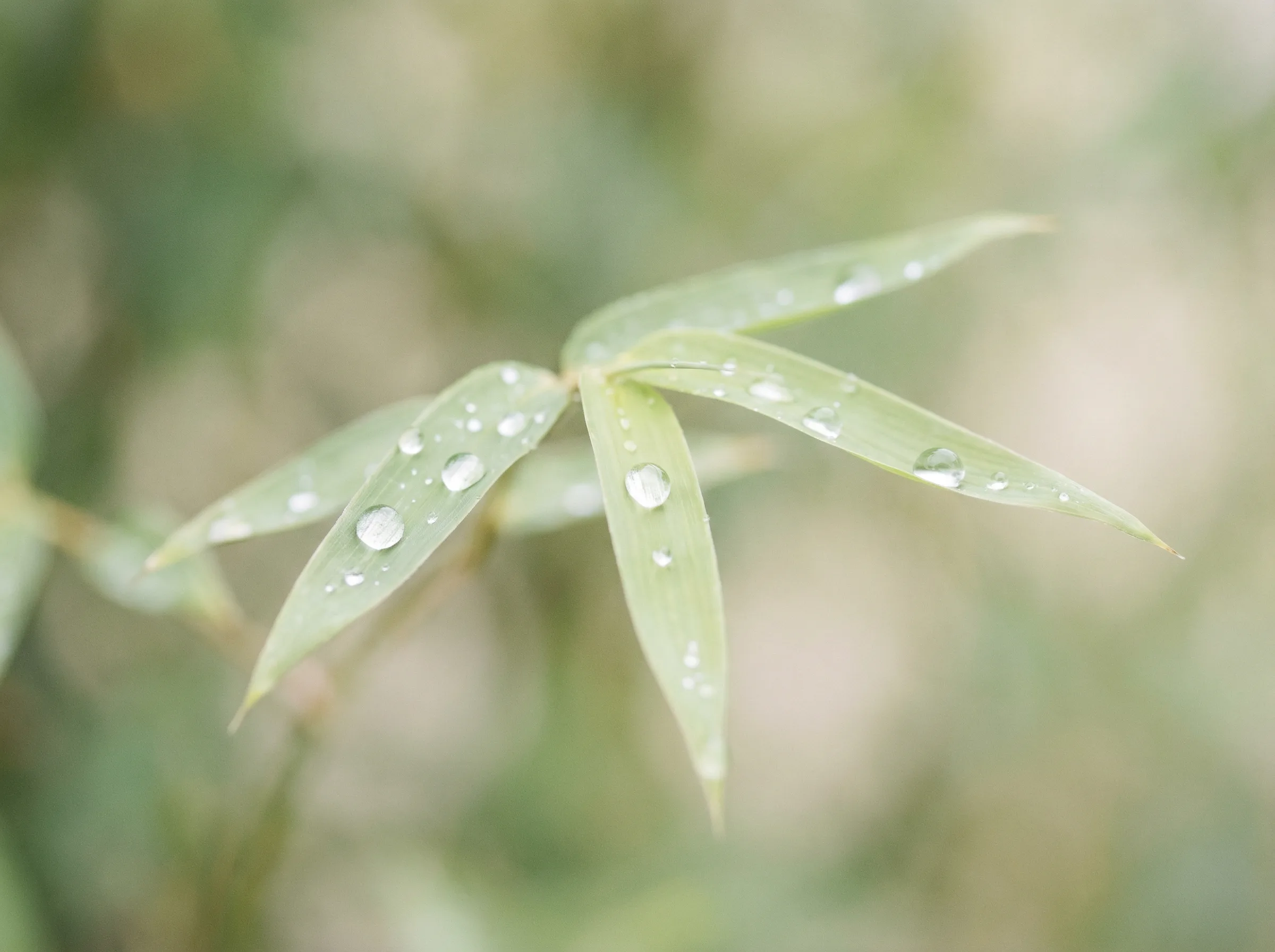 快三彩票 APP自然过滤移动体验